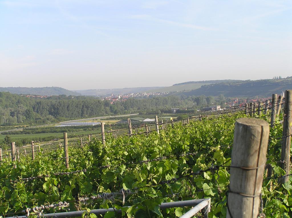 Ferienwohnung Am Alten Berg Ochsenfurt Luaran gambar